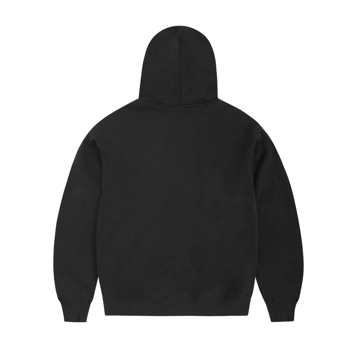Cortiez ARCH SHIELD ZIP HOODIE [BLACK]
